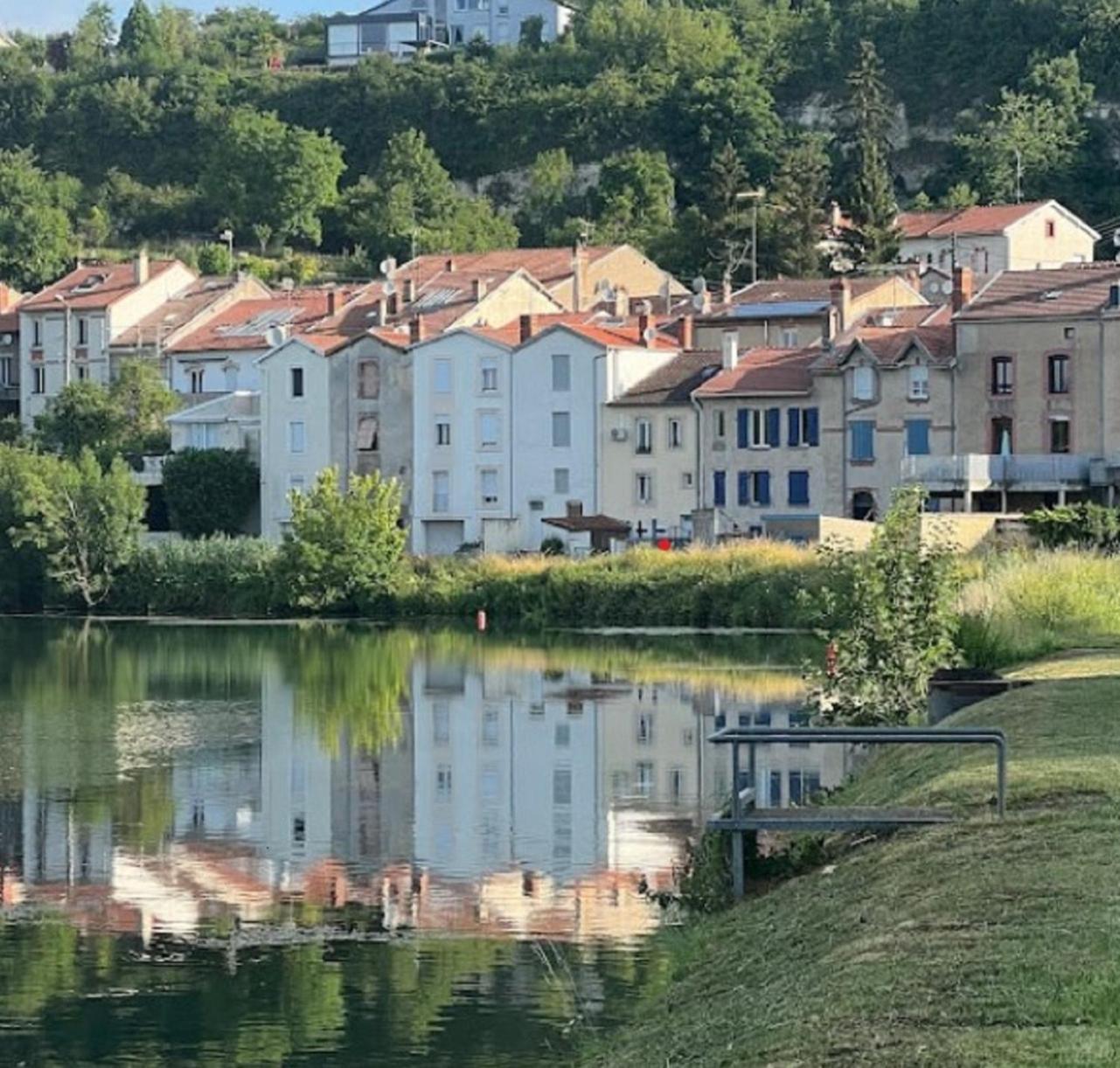 Jolie, Cozy, Confortable Maison De Ville Au Calme A 5Min Du Centre De Verdun, Parking Devant La Maison Belleville-Sur-Meuse Екстер'єр фото